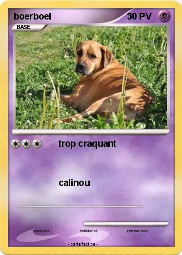 Pokemon boerboel