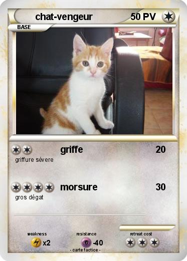 Pokemon chat-vengeur