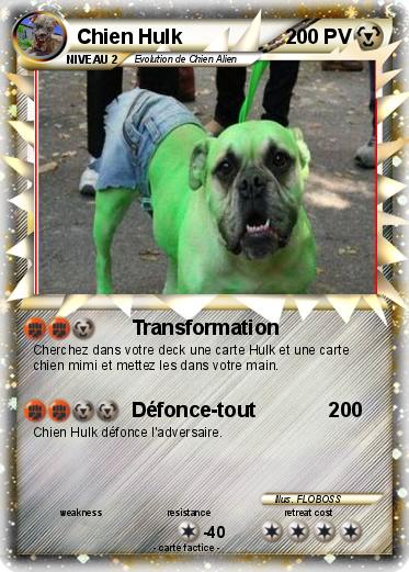 Pokemon Chien Hulk