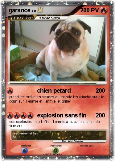 Pokemon garance
