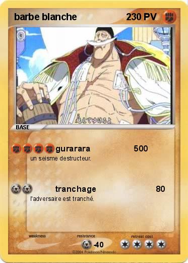 Pokemon barbe blanche                   2