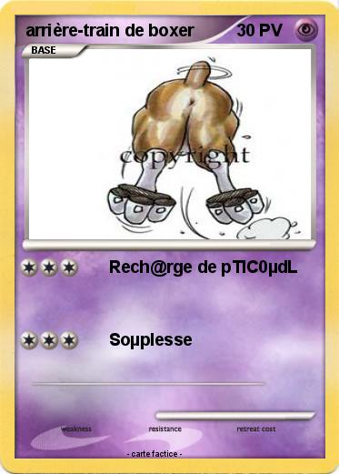 Pokemon arrière-train de boxer
