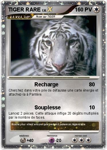 Pokemon TIGER RARE