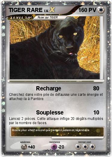 Pokemon TIGER RARE