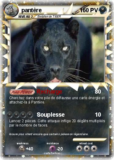 Pokemon pantère