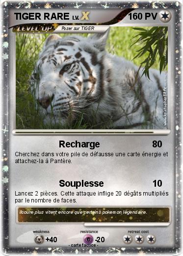 Pokemon TIGER RARE