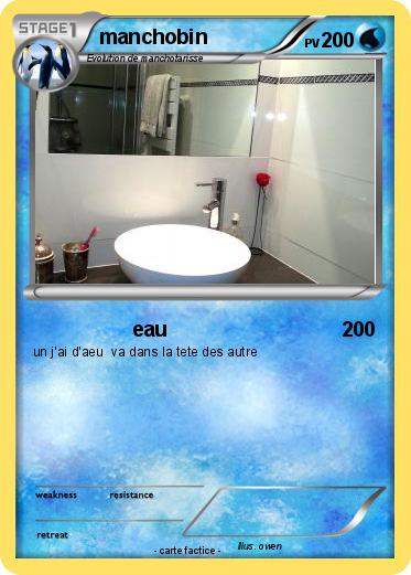 Pokemon manchobin