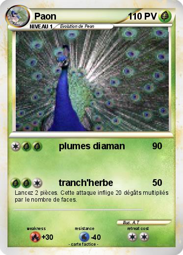 Pokemon Paon