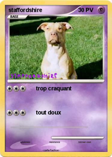 Pokemon staffordshire