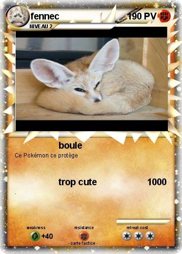 Pokemon fennec