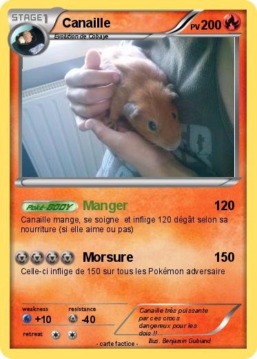 Pokemon Canaille