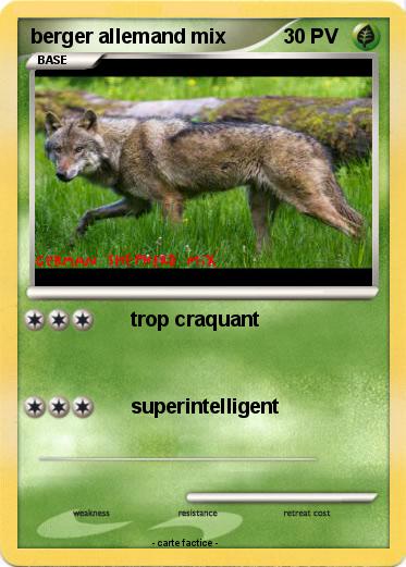 Pokemon berger allemand mix