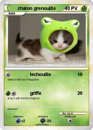 Pokemon chaton grenouille