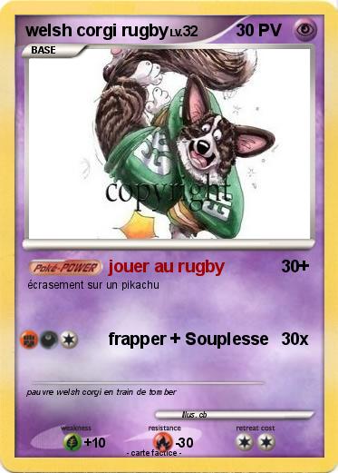 Pokemon welsh corgi rugby