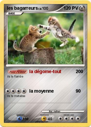 Pokemon les bagarreurs
