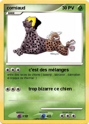Pokemon corniaud