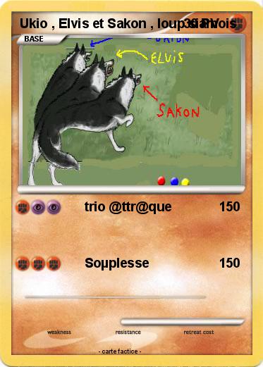 Pokemon Ukio , Elvis et Sakon , loup siamois