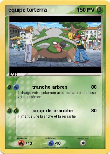 Pokemon equipe torterra