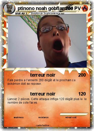 Pokemon ptinono noah gobflamme
