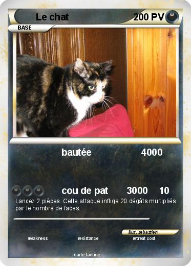 Pokemon Le chat