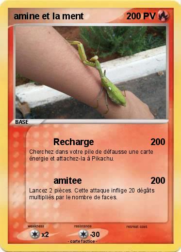 Pokemon amine et la ment