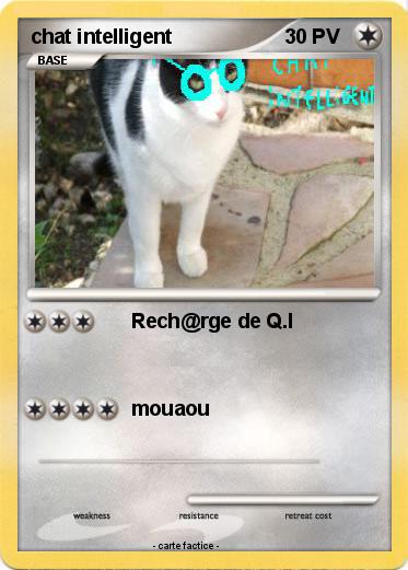 Pokemon chat intelligent