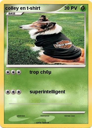 Pokemon colley en t-shirt