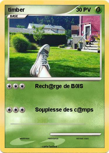 Pokemon timber
