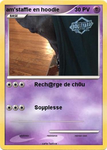 Pokemon am'staffie en hoodie