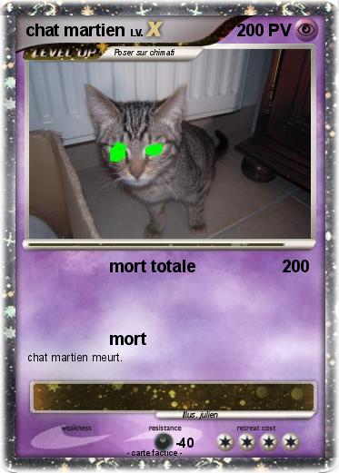 Pokemon chat martien