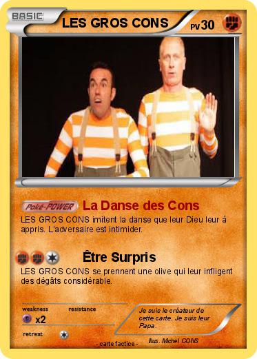 Pokemon LES GROS CONS