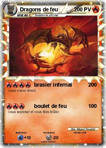 Pokemon Dragons de feu