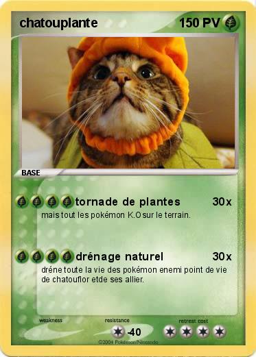 Pokemon chatouplante