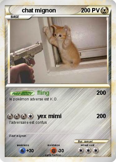 Pokemon chat mignon
