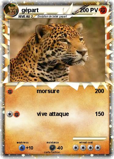 Pokemon gépart