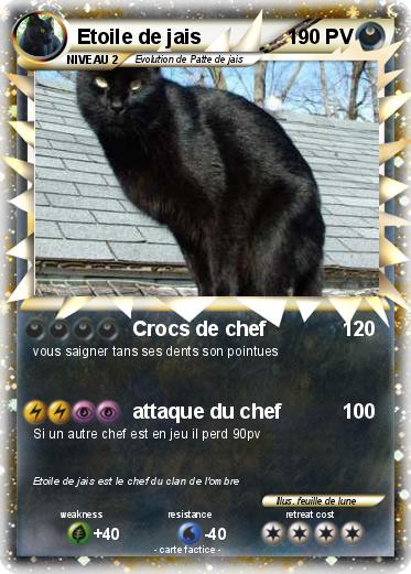 Pokemon Etoile de jais