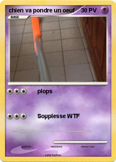 Pokemon chien va pondre un oeuf