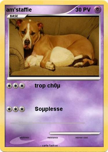 Pokemon am'staffie