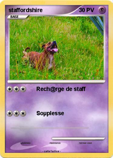 Pokemon staffordshire