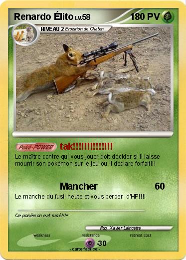 Pokemon Renardo Élito