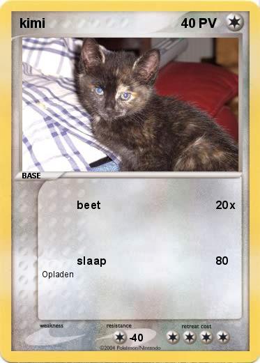 Pokemon kimi