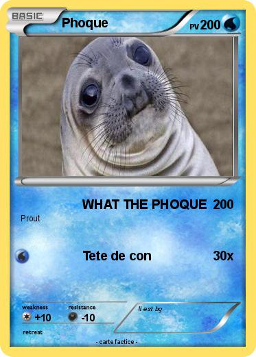 Pokemon Phoque