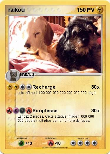 Pokemon raikou