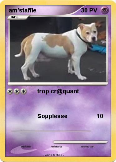 Pokemon am'staffie