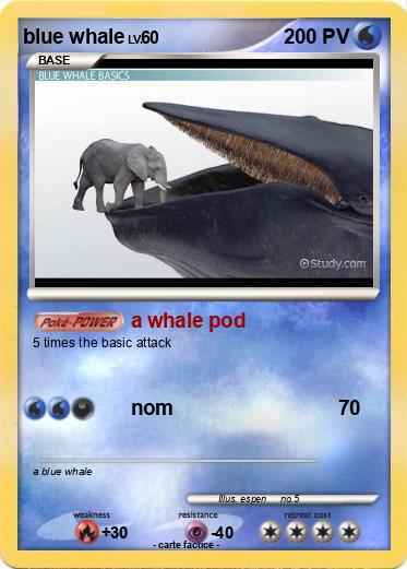 Pokemon blue whale