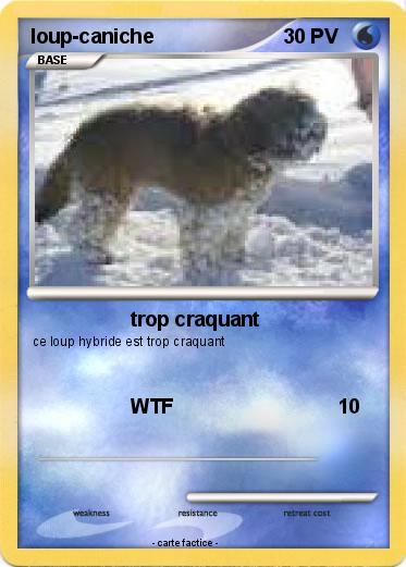 Pokemon loup-caniche