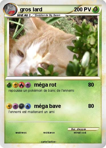 Pokemon gros lard