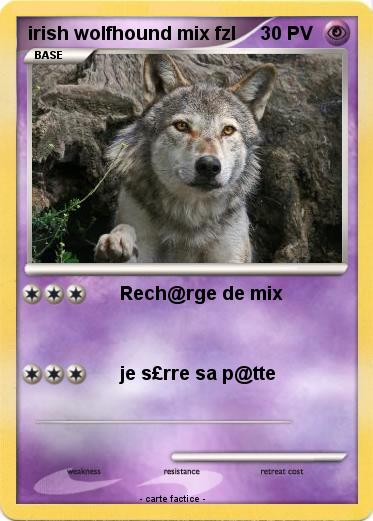 Pokemon irish wolfhound mix fzl