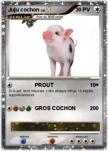 Pokemon Juju cochon