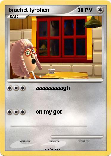 Pokemon brachet tyrolien